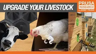 Улучшите свой скот: напечатанные на 3D-принтере аксессуары для кур, пчел, коров, лошадей и других...