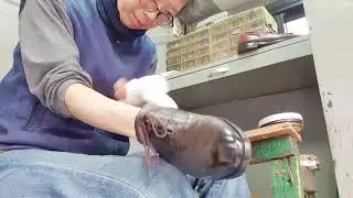 다양한 컬러색상 멋쟁이 신사화 구두닦기 