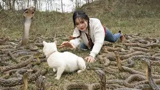 72 Hours Hunting Snakes in the Garden &ndash; Rescuing a Kitten While Harvesting Bamboo Shoots for Market!