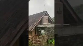 Rain in the village, with the view of rice fields #ricefield #village #view
