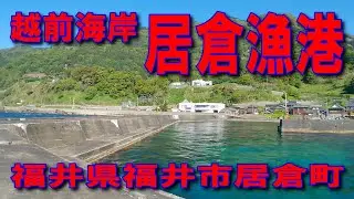 #176福井県居倉漁港越前海岸北陸自動車国道8号敦賀IC敦賀湾大比田交差点越前河野しおかぜライン国道305号交差点漁火街道道の駅越前越前岬規模は小さいですが海がきれいな漁港イカ墨跡多数足場の良い波止