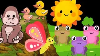 Animal Songs for Babies 🐒🦓 | Fun Jungle Baby Sensory Video (17 Minutes)