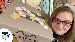 My last Pusheen Box video + life/channel update