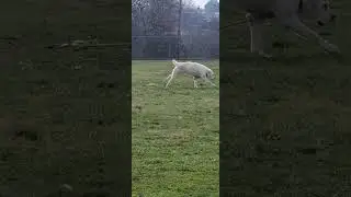 snowman at the park