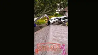 Roof Replacement in Dunedin, FL