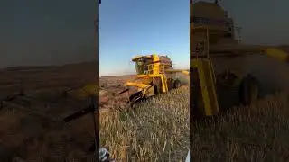When baggers can&rsquo;t be choosers#firstcropcomingoff #farming  #farmingvideos #agequipment