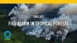 Firecast: Satellites Sound Fire Alarm in Tropical Forests | Conservation International (CI)
