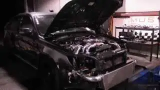 Mary's 742AWHP 613AWTQ Legacy Spec B