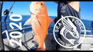 2020 Season - Seaforce Fishing Charters Coral Bay, Ruby Deep Drops, Red Emperor Tagging & Lots More