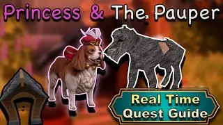 Princess and The Pauper - Real Time Quest Guides