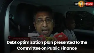Debt optimization plan presented to the Committee on Public Finance.