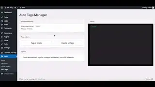 Rankr Review Demo - Best WordPress SEO Google Ranking Plugin Post Tags