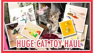 Shein Cat Toy Haul!
