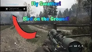 MWR - Trophy Guide - Fly Swatter & Bird on the Ground