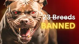 Bad NEWS for Dog Owners | Reason 23 Restricted Dog Breeds Controversy | Dog Breeds that are Banned