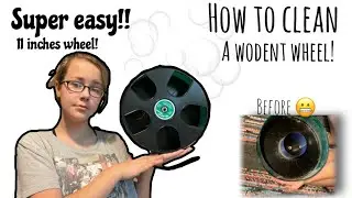 How to clean a Wodent Wheel!!