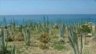 TORRE SUDA ... a sud del Salento, Puglia