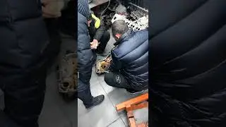 2 февраля 2026 г.