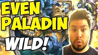 Even Paladin is FUN! | Hearthstone | Wild Format