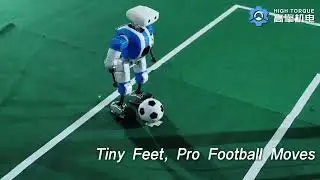 Small-Size&High-Performance Humanoid Robot：Mini Pi+ for RoboCup