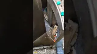 The train toilet is very dirty, railways need to clean it #indianrailways