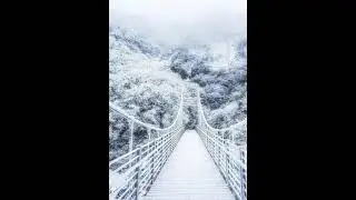 Frozen Bridge