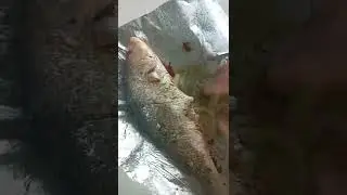 grill fish on fire pt 1