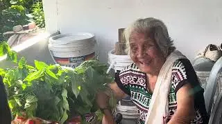Aktiviti di kampung