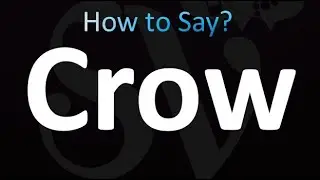 How to Pronounce CROW (Correctly!)