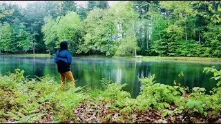 Rainy Day Topwater Action - First Topwater Fish This Year!!!