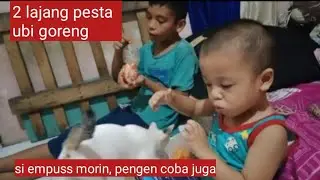 Malam2 kelaperan, baba blm plg, jd pesta tela2 alias makan ubi dulu 🤣
