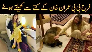 Farah Bibi Latest news today
