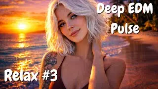 EDM Chill Relax #04: Sunset Groove 🎧 Chill EDM with Smooth Beats