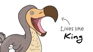 Why it&rsquo;s sucks to be born as a dodo bird