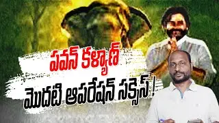 kumki elephants operation in andhra pradesh పవన్ కళ్యాణ్ మొదటి ఆపరేషన్ సక్సెస్ ! || Bose Kommuri