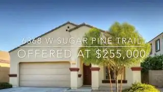 Sugar Pine Trail | Branded