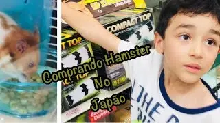 COMPRANDO HAMSTER NO JAPÃO