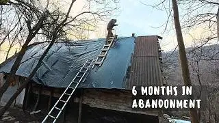 Полгода одиночества | Жизнь в одиночестве в заброшенной деревушке