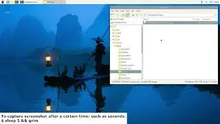 Capture screenshots in Raspberry Pi OS (bookworm)/Wayland