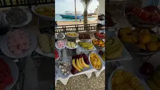 Fruit Carnival 1.Dec.2025