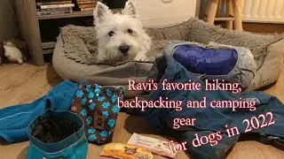 Ravi's favorite hiking, backpacking and camping gear for dogs for 2022.