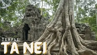 TA NEI TEMPLE #TourExplorer