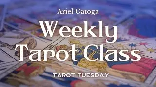5/23/23 Tarot Tuesday - Strength - Weekly Tarot Class