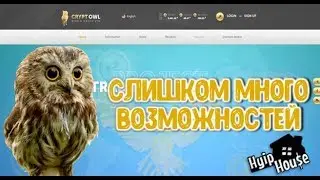 cryptowl.group Обзор и депозит 500$ CКАМ