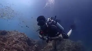 Diving in phuket Thailand #diving #phuket #scubadiving #fish #adventure 