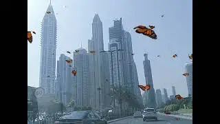 Dubai Tour 2022| IMAGING DUBAI | TRAVEL DUBAI | Nice Dubai |