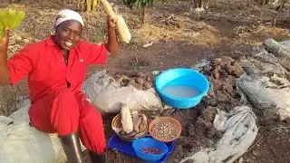 10 Things that have helped me to Farm in Semi Arid areas
