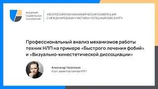 Профессиональный анализ механизмов работы техник НЛП на примере 