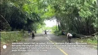 Polsek Wangon Banyumas Evakuasi Pohon Bambu yang Mengganggu Arus Lalu Lintas.