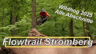 Bester Flowtrail Deutschlands!!! || Flowtrail Stromberg 2025  || Wildhog || Alle Abschnitte